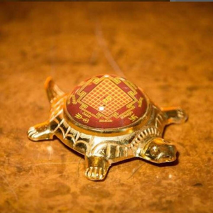 Tortoise Enchanted with Mantra Vastu Shri Yantra